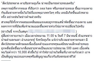 ทากทะเล