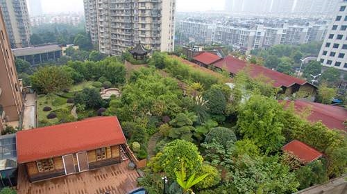 เพื่อนบ้านยึดดาดฟ้าส่วนรวม