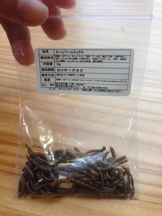 เมนูแปลกญี่ปุ่น