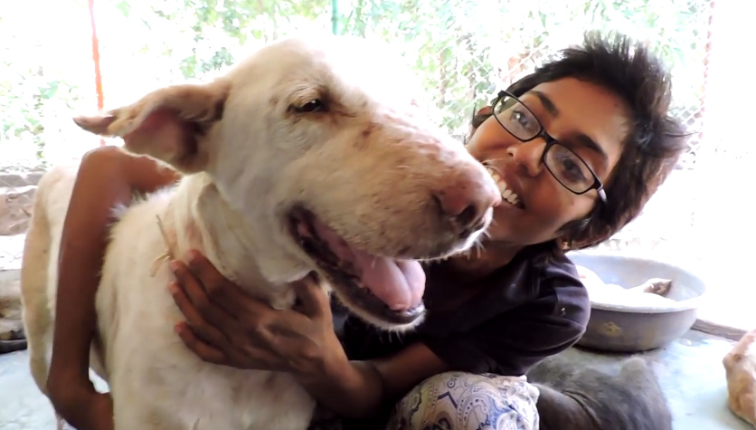 ชุบชีวิตหมาขี้เรื้อน