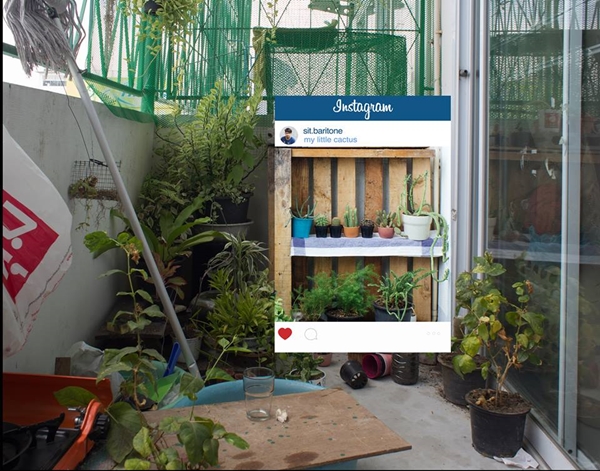 เบื้องหลังภาพ slowlife