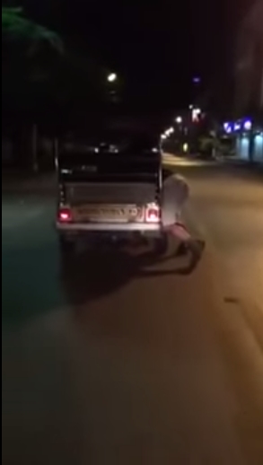 ฝรั่งเกาะท้ายรถตุ๊กตุ๊ก