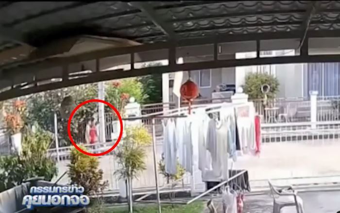 เด็กปล่อยหมาจนรถชนตาย