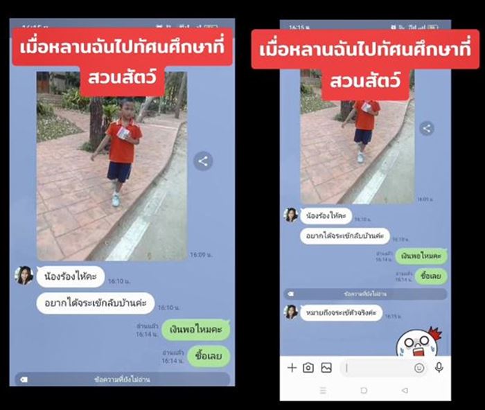 เลี้ยงจระเข้