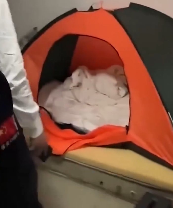 แอบอยู่ในห้าง