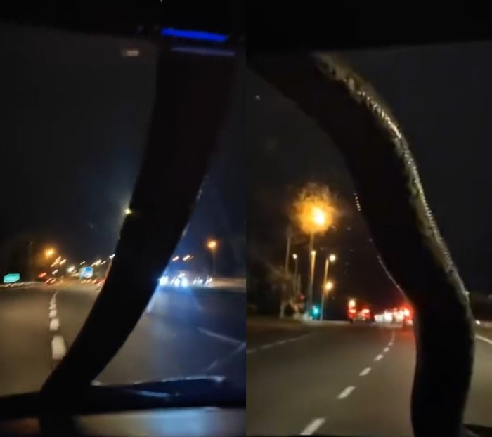 งูเข้ารถ