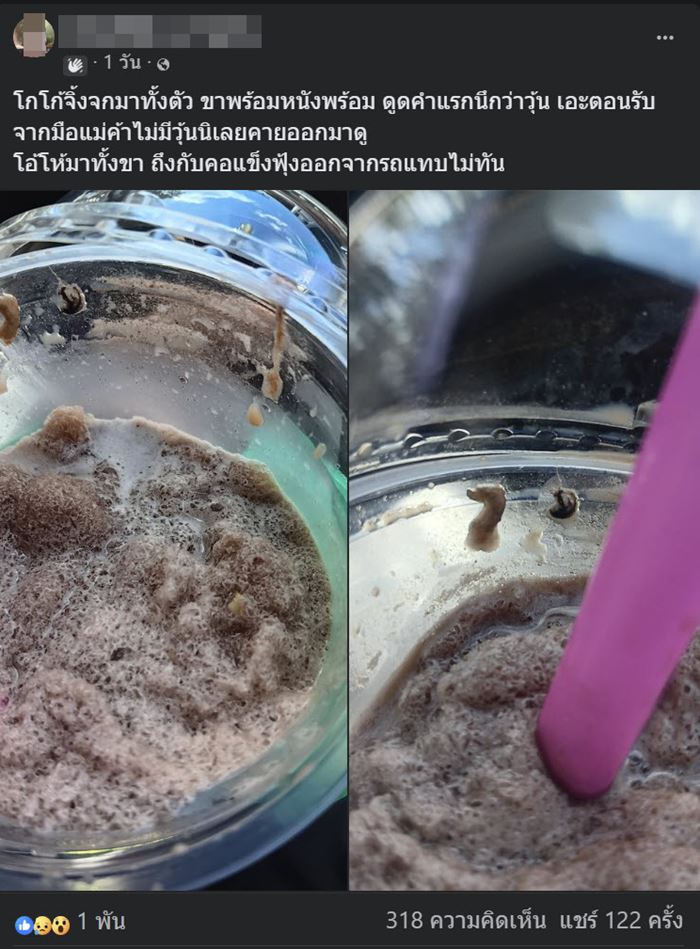 โกโก้จิ้งจก