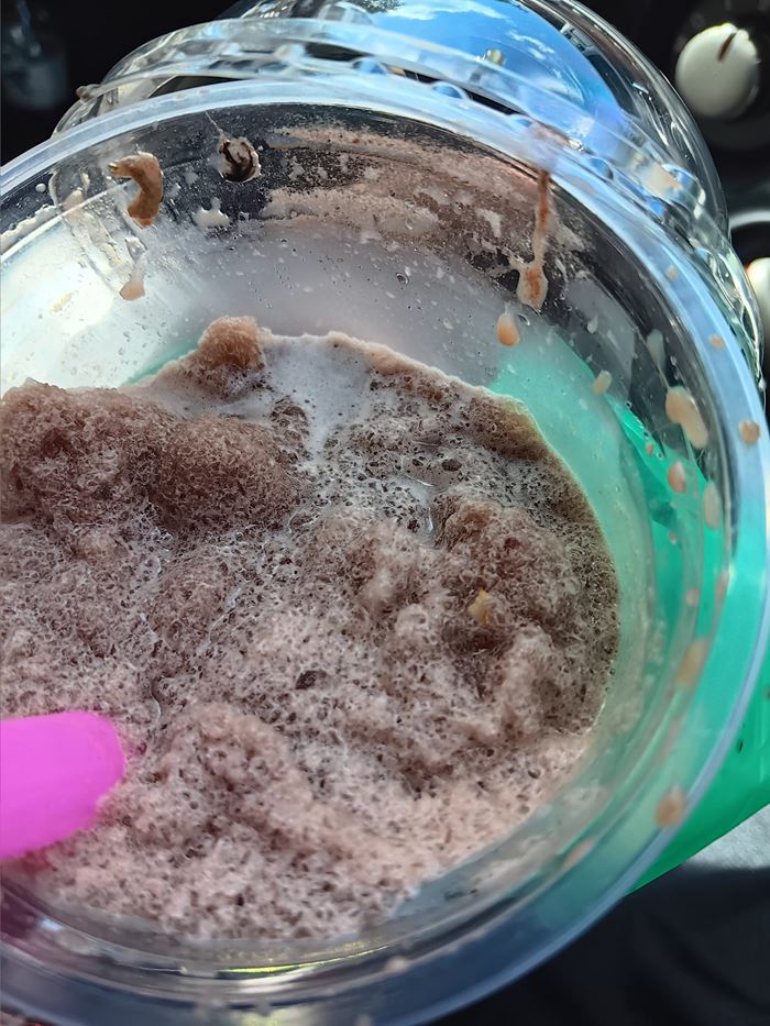 โกโก้จิ้งจก