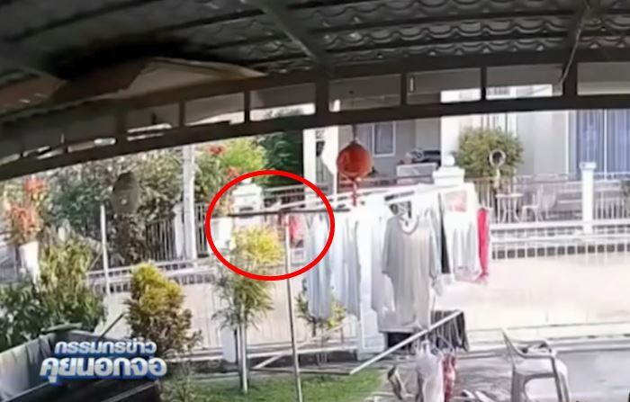 เด็กปล่อยหมาจนรถชนตาย