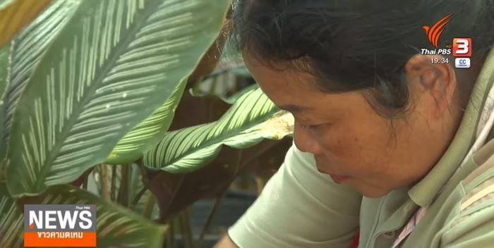 แม่บ้านกล่าวสุนทรพจน์