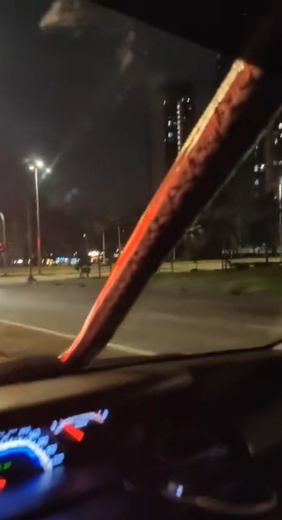 งูเข้ารถ