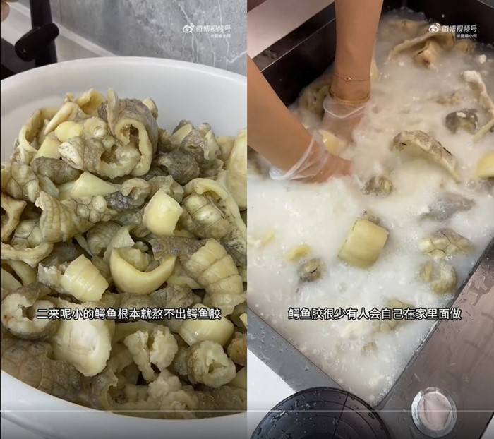 ซื้อจระเข้มากิน