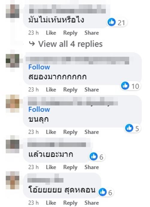 ไข่แมลงวัน