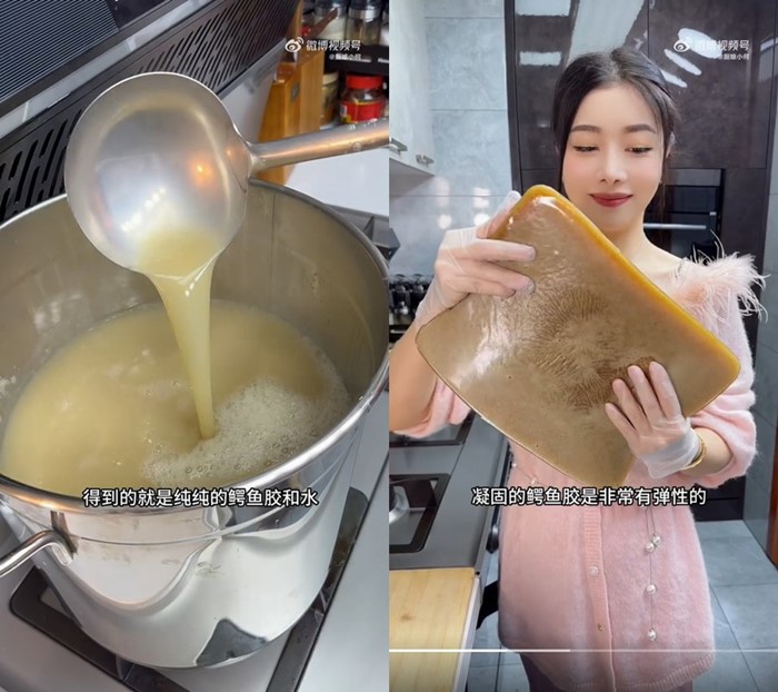 ซื้อจระเข้มากิน