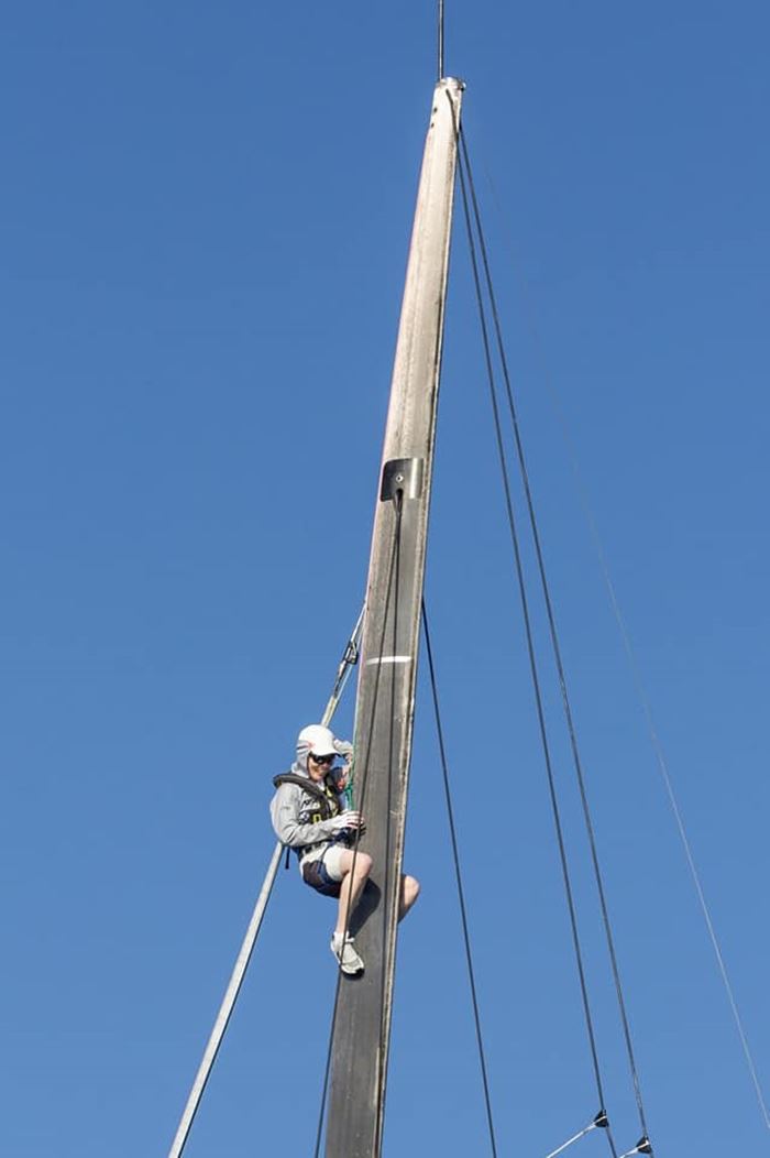 พระราชินี