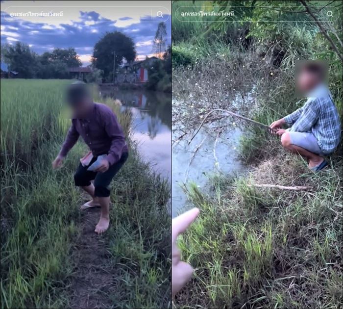 เซอร์ไพรส์พ่อแม่