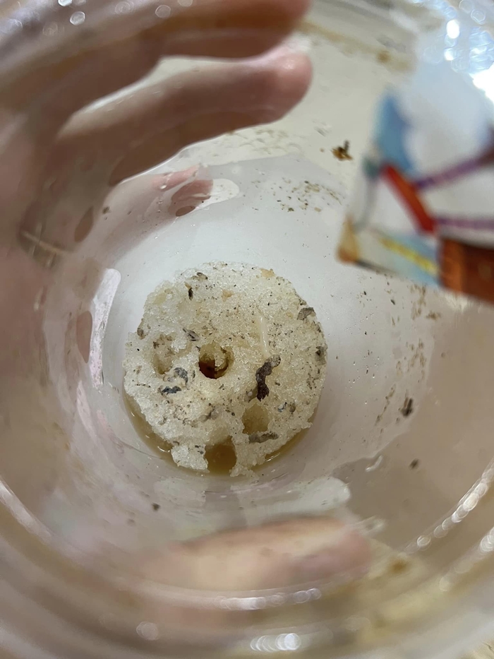 กาแฟจิ้งจก