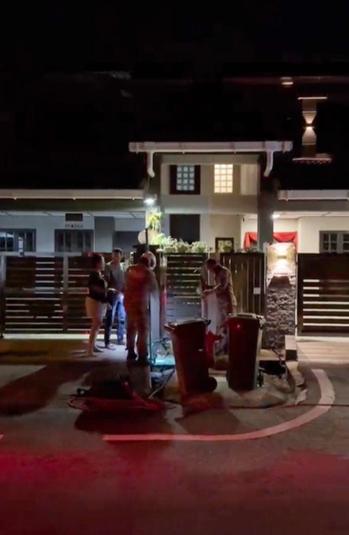 จระเข้ยักษ์