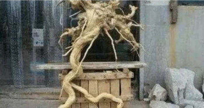 ไม้ประหลาด