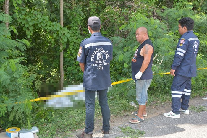 ดีเจจุฑาทิพย์