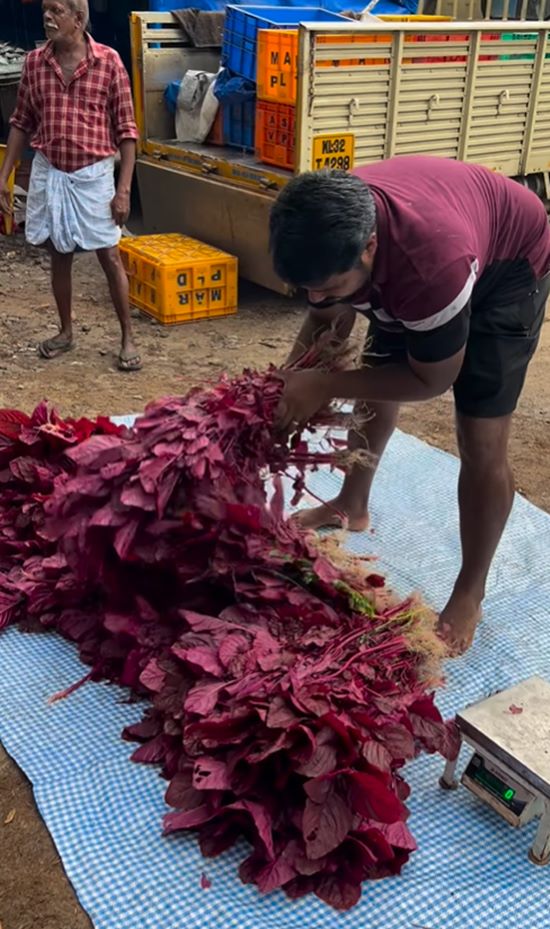 ขับรถหรูมาขายผัก