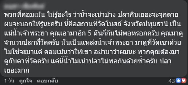 ให้อาหารปลา