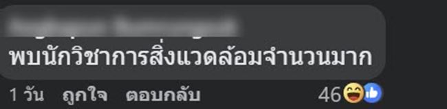 ให้อาหารปลา