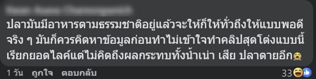 ให้อาหารปลา