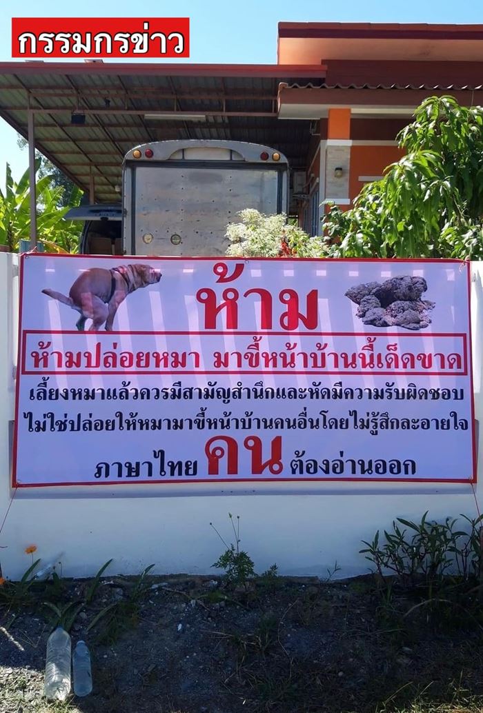 หมาขี้หน้าบ้าน