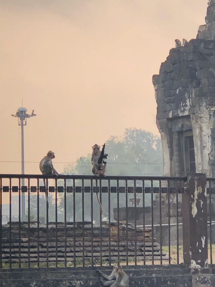 วันธรรมดาที่ลพบุรี