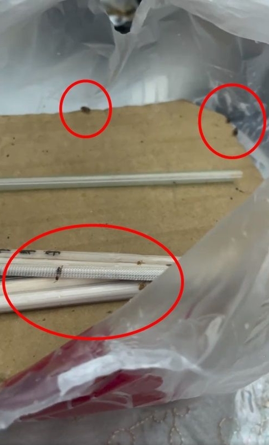 ร้านอาหารสกปรก