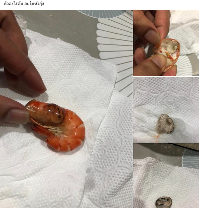 ปรสิต หัวกุ้ง