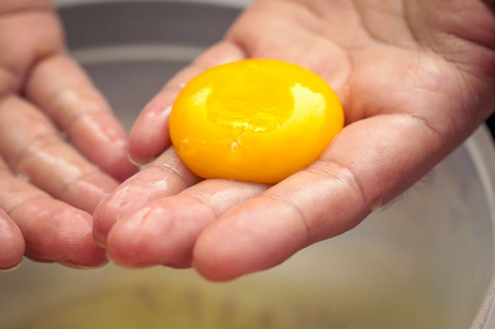 เมนูไข่