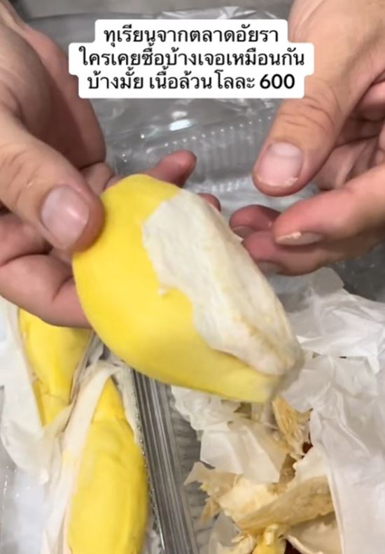 ทุเรียนเนื้อล้วน