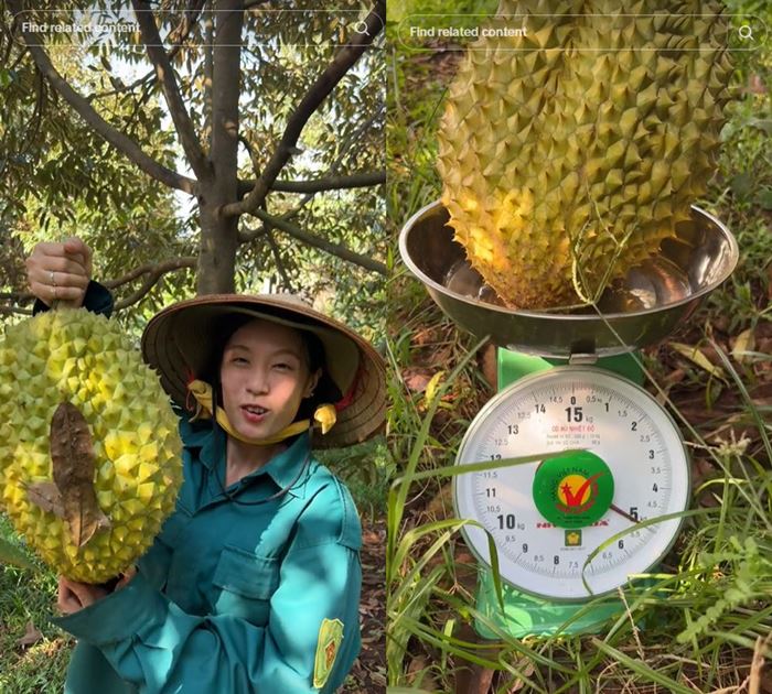 ทุเรียน