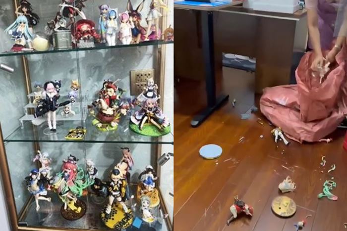 โมเดลสะสม