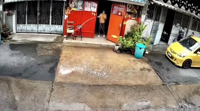 มนุษย์ป้า