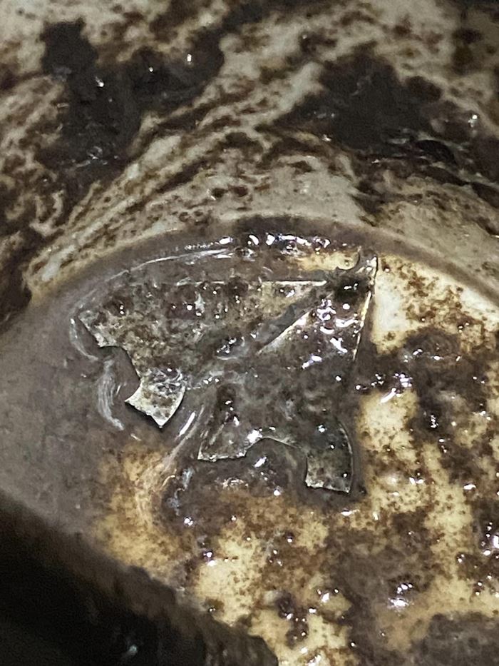 เครื่องดื่มปั่นอัตโนมัติ