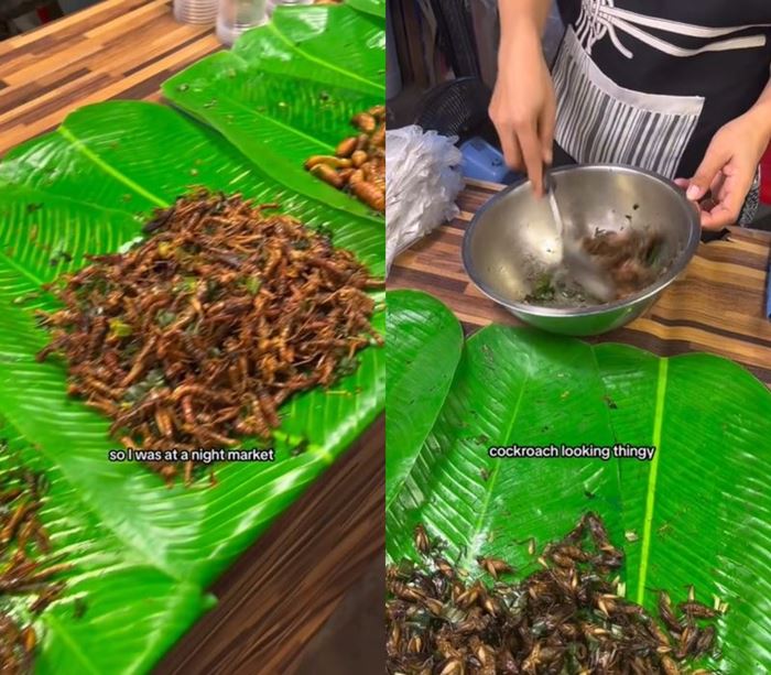 แมลงทอด