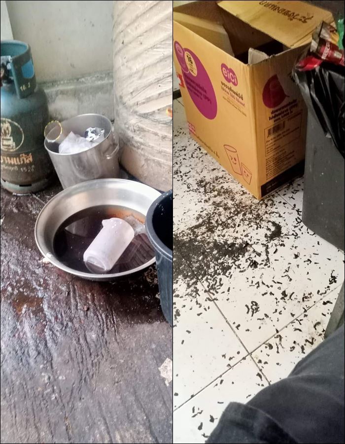 โรงงานเฉาก๊วย