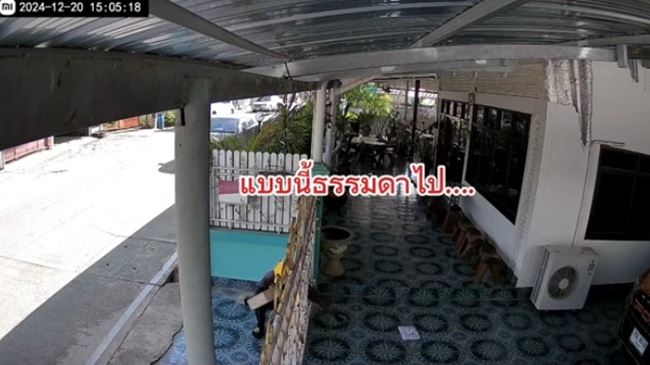 พัสดุมาส่งในวันที่ไม่อยู่บ้าน ดูวงจรปิดแล้วอยากเจอตัว