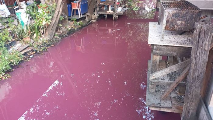 คลองบางแพรก