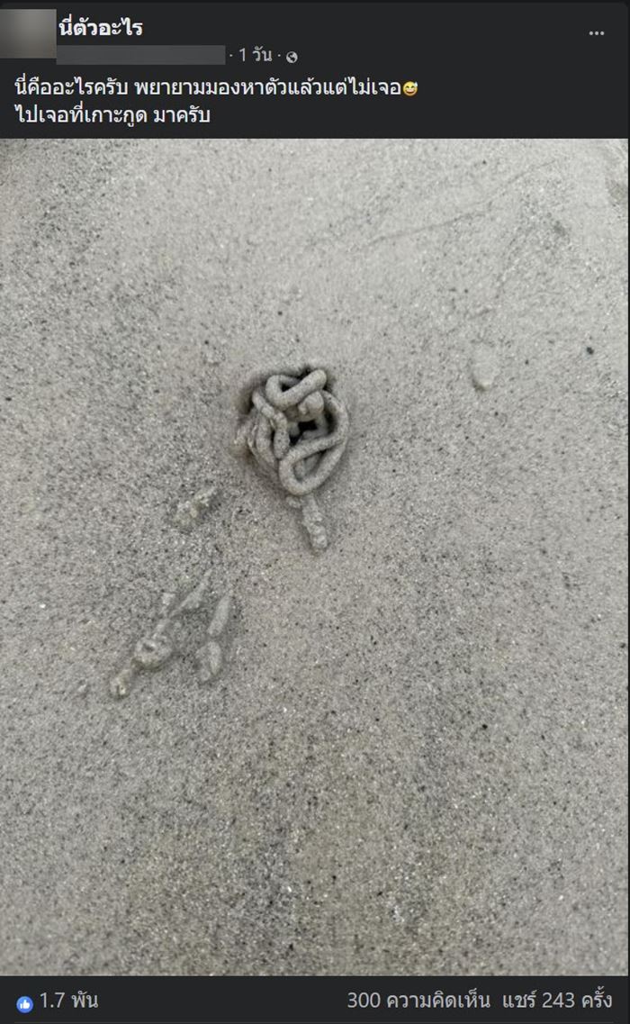 หนอนลูกโอ๊ค