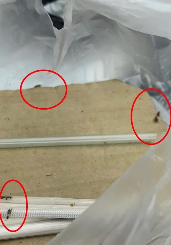 ร้านอาหารสกปรก