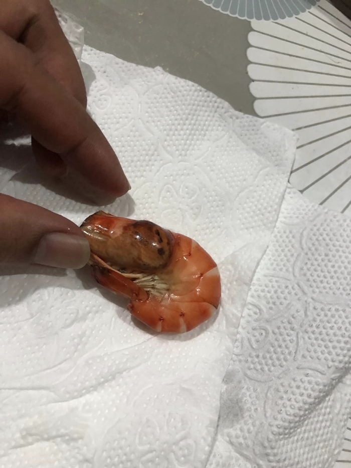 ปรสิต หัวกุ้ง