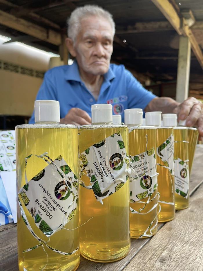 แชมพูมะกรูดตายาย