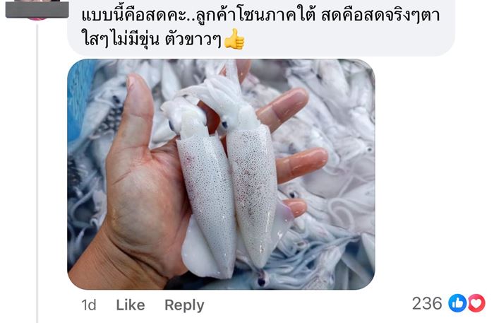 หมึกกล้วย