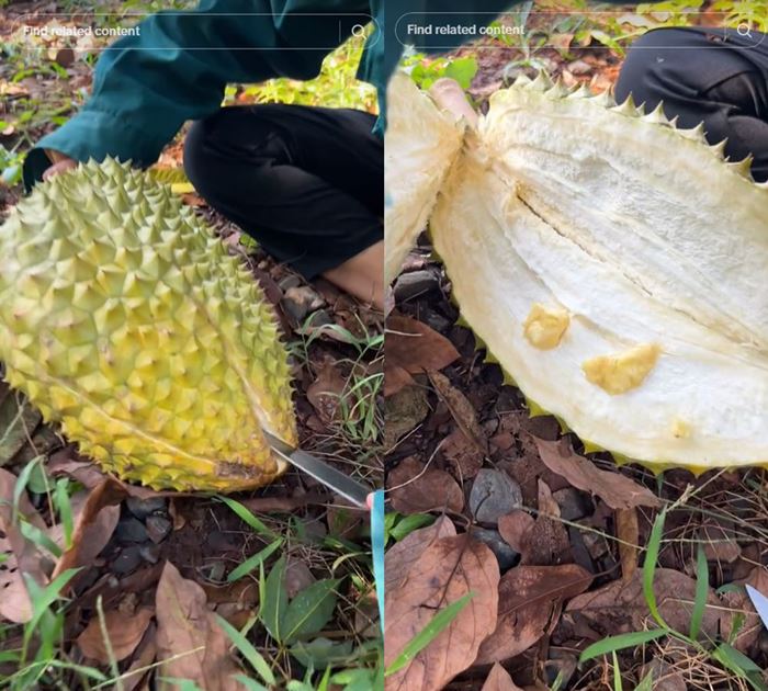 ทุเรียน