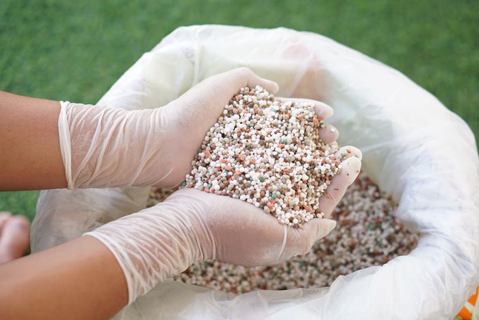 ปุ๋ยคนละครึ่ง