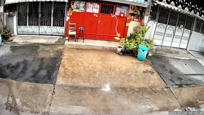 มนุษย์ป้า